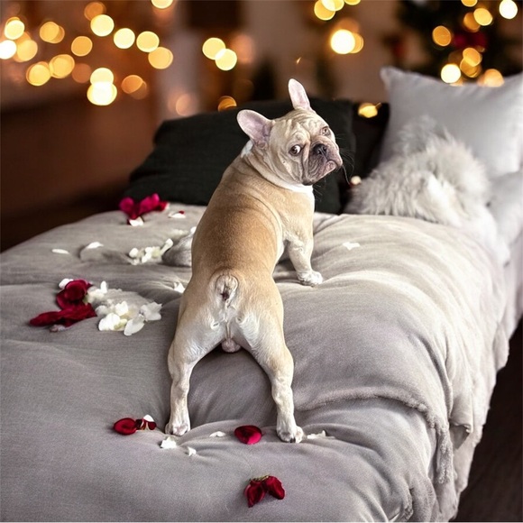 Thank Your Share Show Host - read description! - Picture 5 of 15